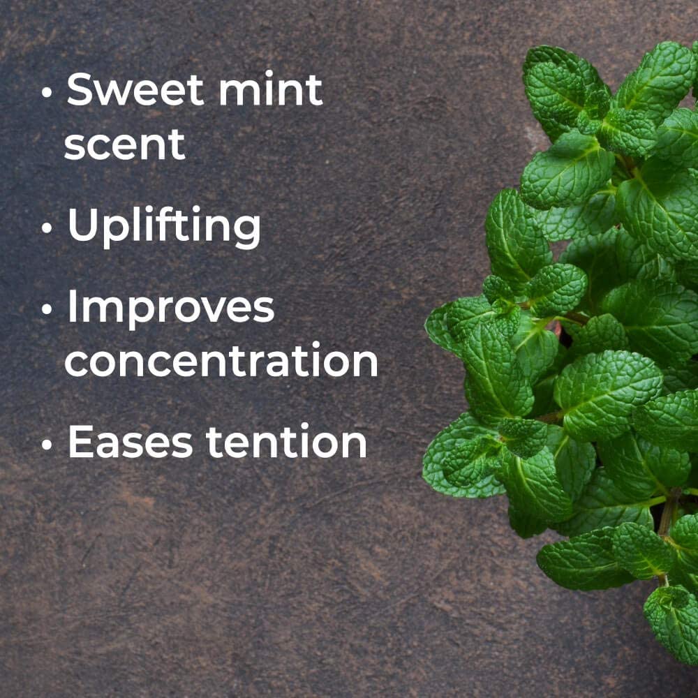 Plant Therapy Spearmint Essential Oil
