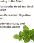 Plant Therapy Bergamot Mint Essential Oil