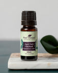 Plant Therapy Aged Dark Patchouli Essential Oil 10 mL