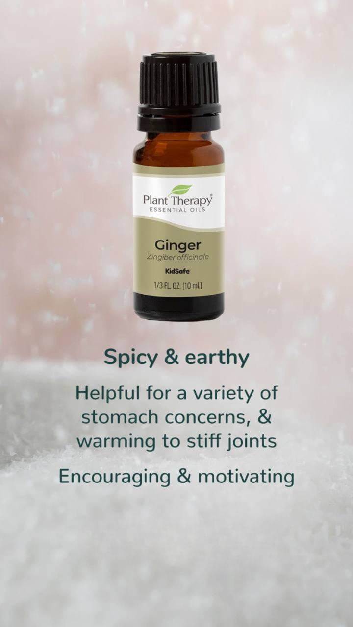 Plant Therapy Ginger Essential Oil