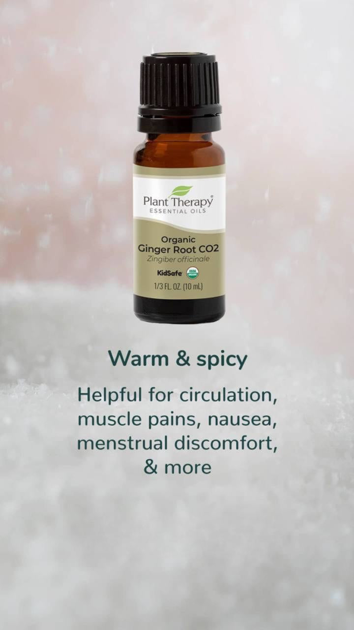 Plant Therapy Organic Ginger Root CO2 Extract OilyPod