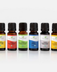 Plant Therapy Top 6 Organic Blends Set