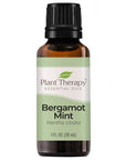 Plant Therapy Bergamot Mint Essential Oil