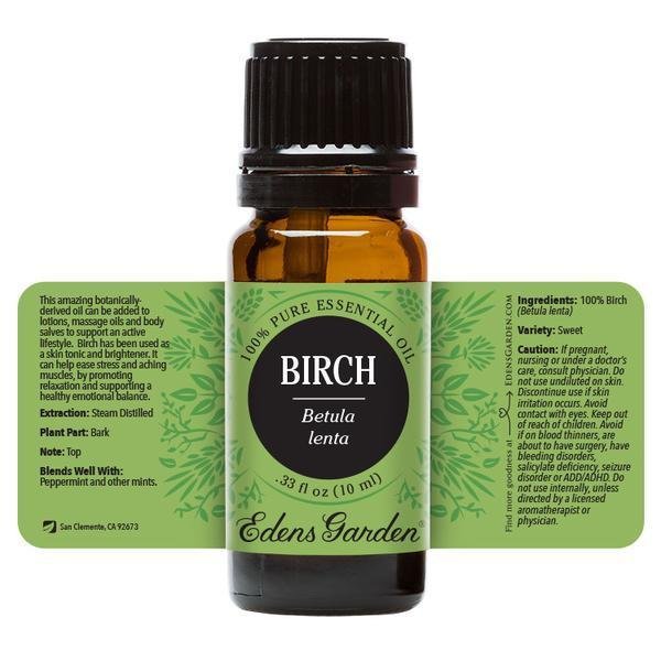 Birch Essential Oil 10ml | Plant Therapy Malaysia, Plant Therapy essential oil, Plant Plant Therapy oil online