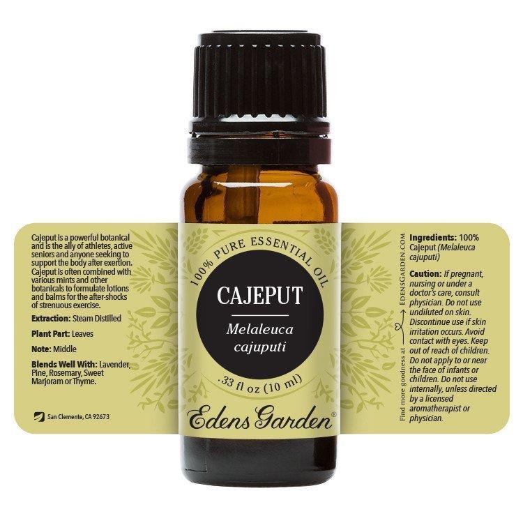 Cajeput Essential Oil 10ml | Plant Therapy Malaysia, Plant Therapy essential oil, Plant Plant Therapy oil online
