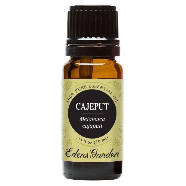 Cajeput Essential Oil 10ml | Plant Therapy Malaysia, Plant Therapy essential oil, Plant Plant Therapy oil online
