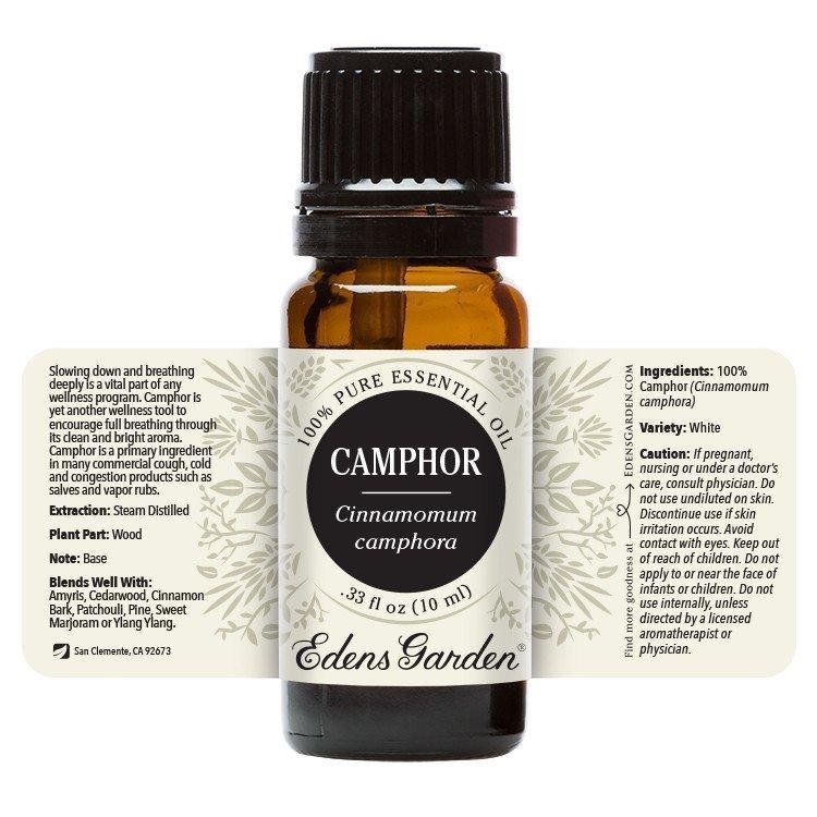 Camphor Essential Oil 10ml | Plant Therapy Malaysia, Plant Therapy essential oil, Plant Plant Therapy oil online