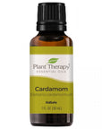 Plant Therapy Cardamom Essential Oil