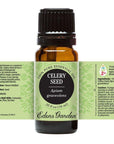 Celery Seed Essential Oil 10ml | Plant Therapy Malaysia, Plant Therapy essential oil, Plant Plant Therapy oil online