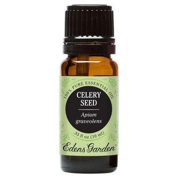 Celery Seed Essential Oil 10ml | Plant Therapy Malaysia, Plant Therapy essential oil, Plant Plant Therapy oil online