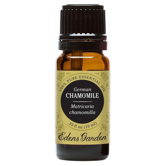 Chamomile-German Essential Oil 10ml | Plant Therapy Malaysia, Plant Therapy essential oil, Plant Plant Therapy oil online