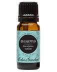Eucalyptus- Radiata Essential Oil 10ml - OilyPod