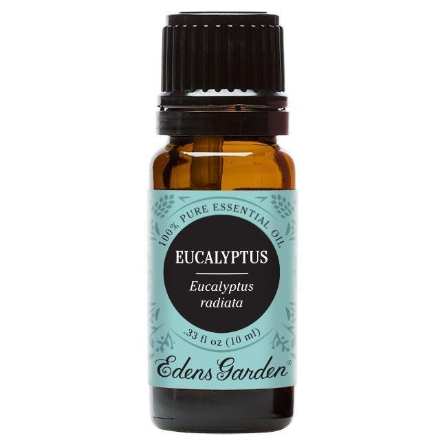 Eucalyptus- Radiata Essential Oil 10ml - OilyPod