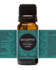 Eucalyptus- smithii Essential Oil 10ml - OilyPod