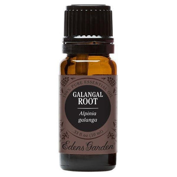 Galangal Root Essential Oil 10ml - OilyPod