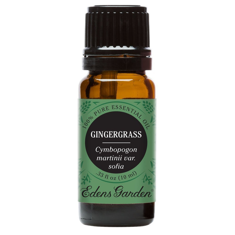 Gingergrass Essential Oil 10ml - OilyPod
