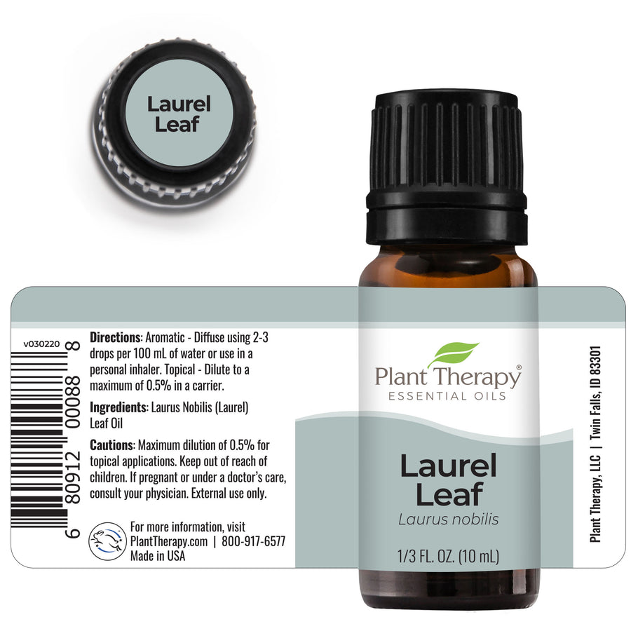 Plant Therapy Laurel Leaf Essential Oil