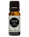 Ledum  Essential Oil 10ml - OilyPod