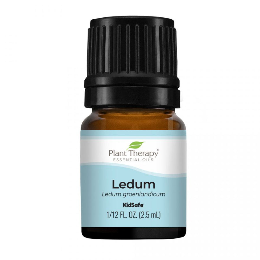 Plant Therapy Ledum Essential Oil