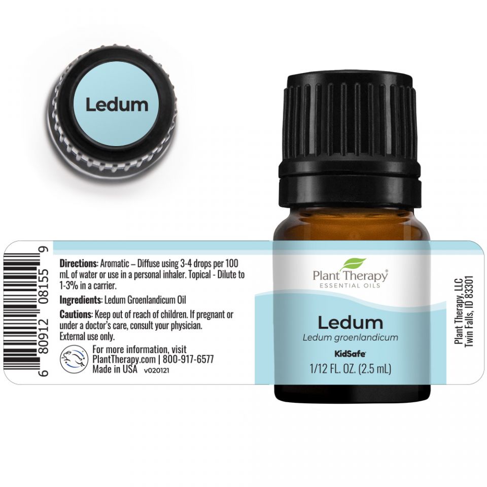 Plant Therapy Ledum Essential Oil