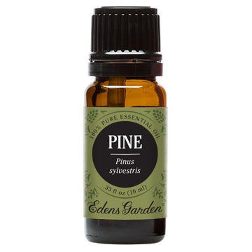 Pine Essential Oil 10ml - OilyPod