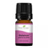 Plant Therapy Balance Synergy Essential Oil - OilyPod