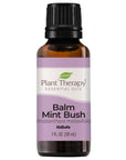 Plant Therapy Balm Mint Bush Essential Oil - OilyPod