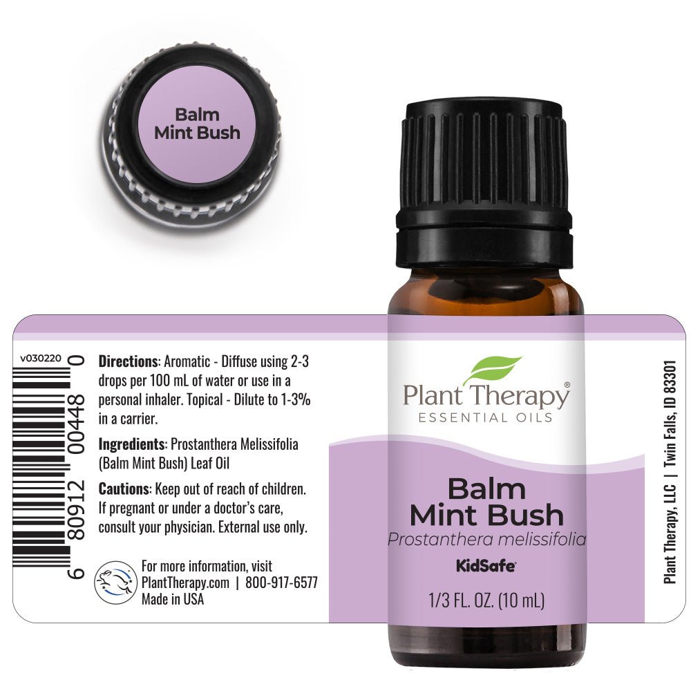 Plant Therapy Balm Mint Bush Essential Oil - OilyPod