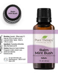 Plant Therapy Balm Mint Bush Essential Oil - OilyPod
