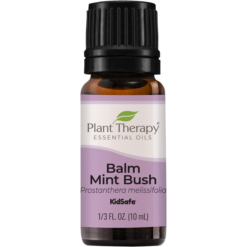 Plant Therapy Balm Mint Bush Essential Oil - OilyPod