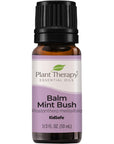 Plant Therapy Balm Mint Bush Essential Oil - OilyPod