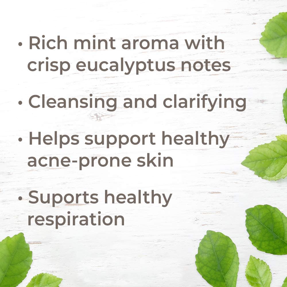Plant Therapy Balm Mint Bush Essential Oil - OilyPod
