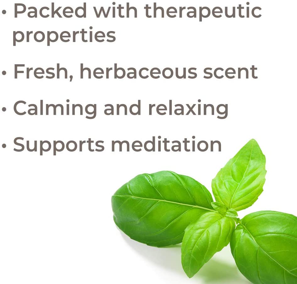 Plant Therapy Basil Linalool Essential Oil - OilyPod