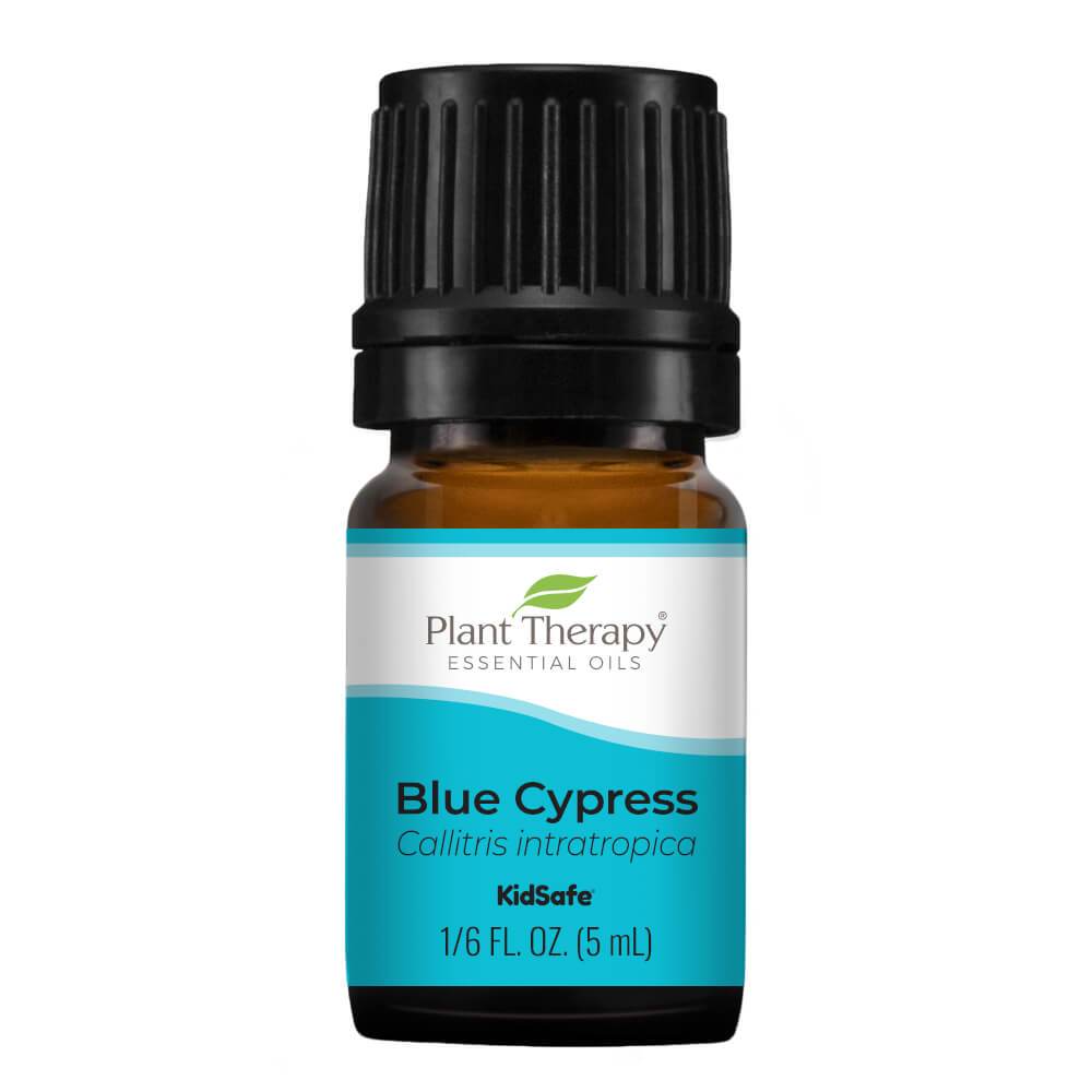 Plant Therapy Blue Cypress Essential Oil - OilyPod