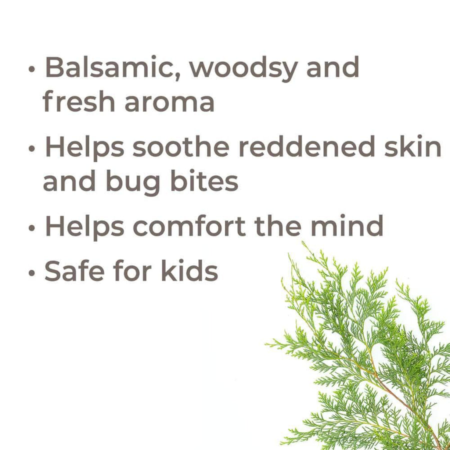 Plant Therapy Blue Cypress Essential Oil - OilyPod