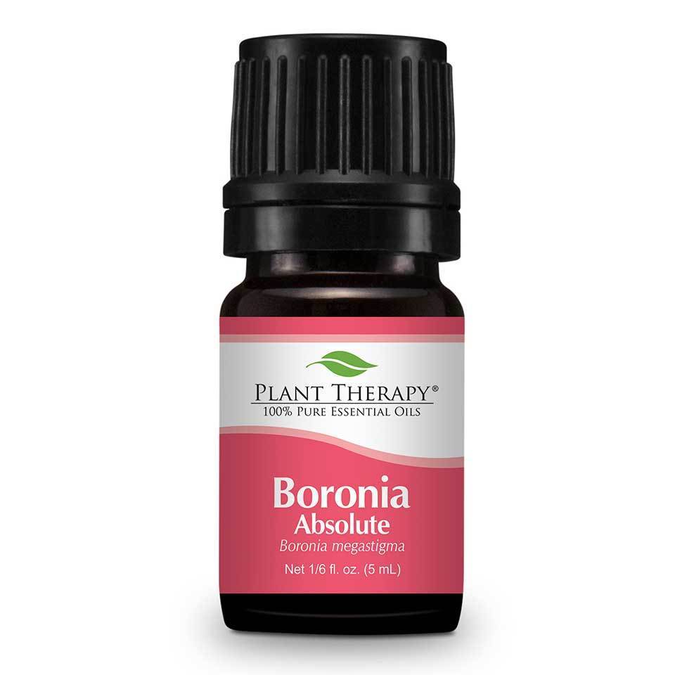 Plant Therapy Boronia Absolute - OilyPod