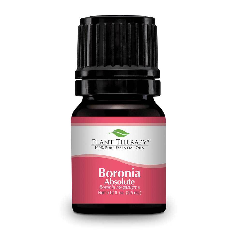 Plant Therapy Boronia Absolute - OilyPod