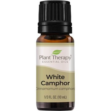 Plant Therapy Camphor White Essential Oil - OilyPod