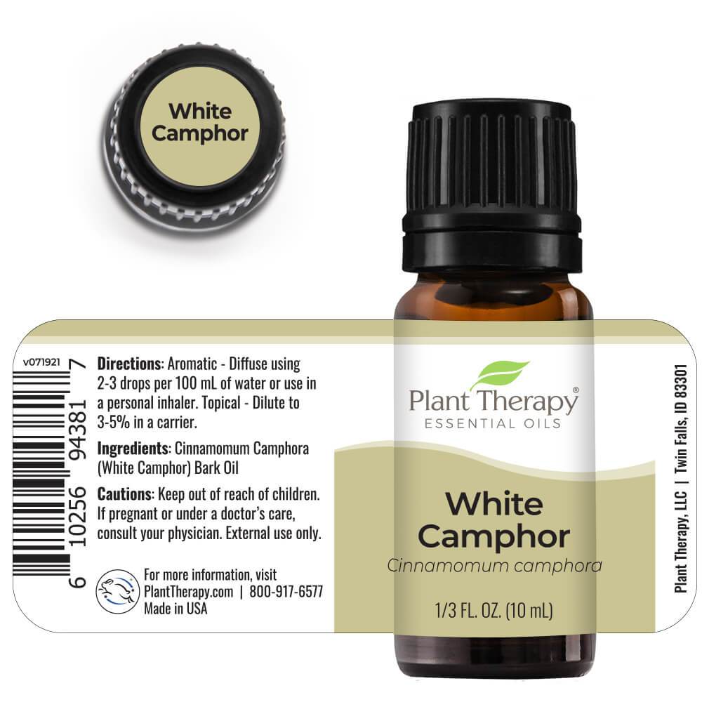 Plant Therapy Camphor White Essential Oil - OilyPod