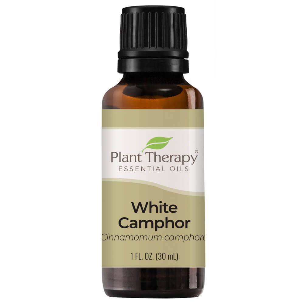 Plant Therapy Camphor White Essential Oil - OilyPod