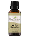 Plant Therapy Camphor White Essential Oil - OilyPod