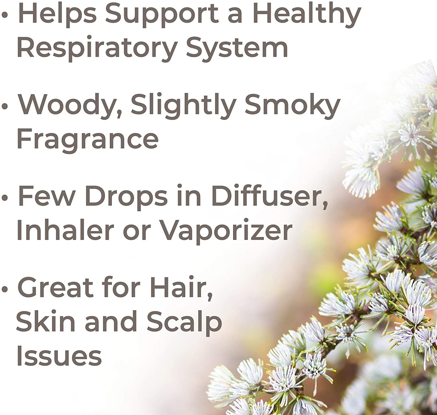 Plant Therapy Cedarwood Atlas Organic Essential Oil - OilyPod