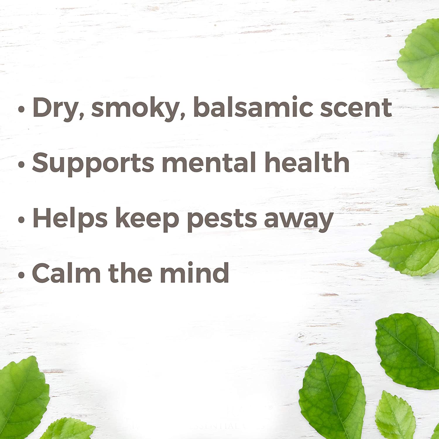 Plant Therapy Cedarwood Himalayan Essential Oil - OilyPod