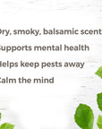 Plant Therapy Cedarwood Himalayan Essential Oil - OilyPod