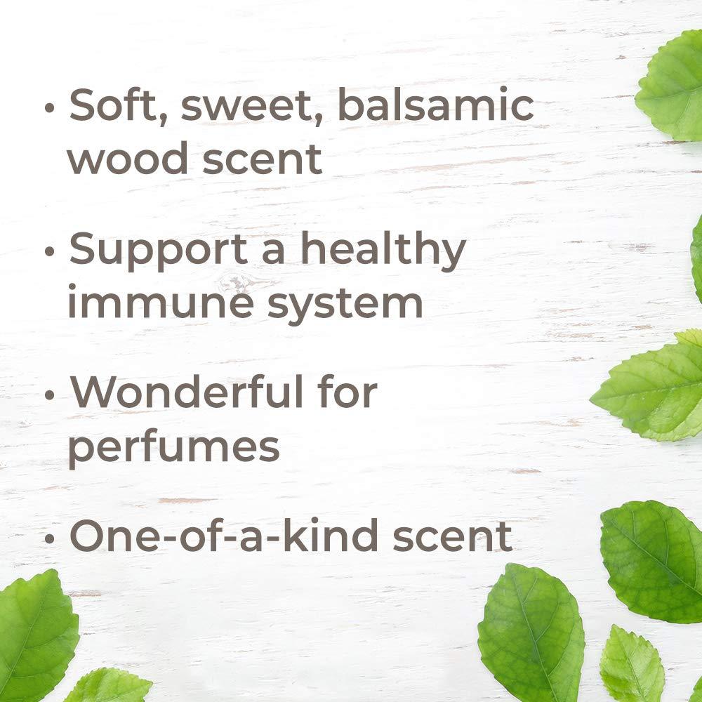 Plant Therapy Cedarwood Texas Essential Oil - OilyPod