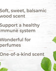 Plant Therapy Cedarwood Texas Essential Oil - OilyPod