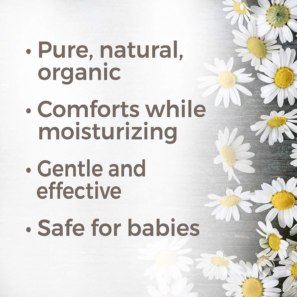 Plant Therapy Chamomile Roman Organic Hydrosol - OilyPod