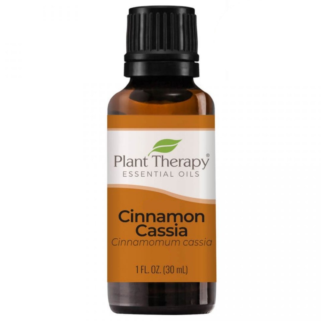 Plant Therapy Cinnamon Cassia Essential Oil - OilyPod