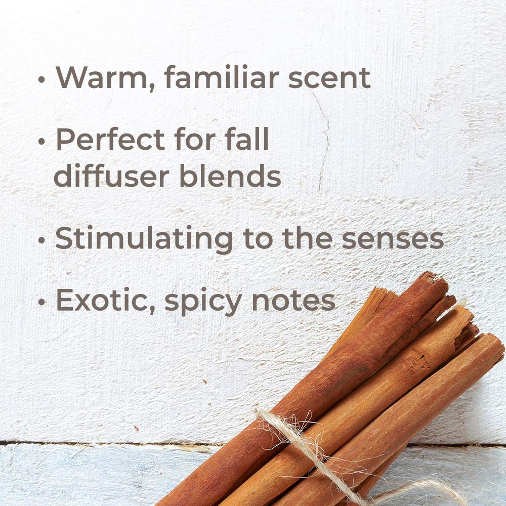 Plant Therapy Cinnamon Cassia Organic Essential Oil - OilyPod