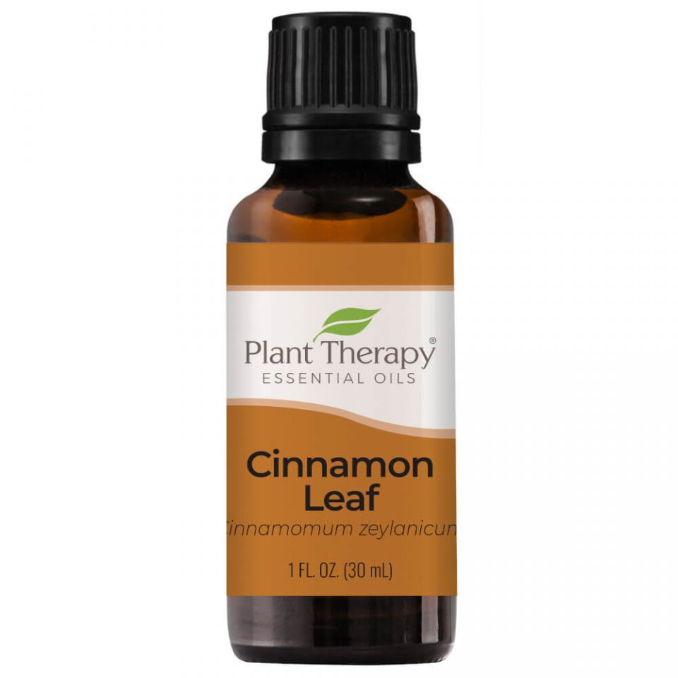 Plant Therapy Cinnamon Leaf Essential Oil - OilyPod